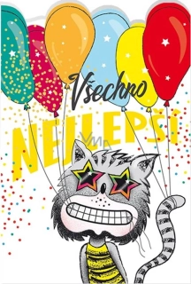 Narozeninové přání - Bláznivá kočka